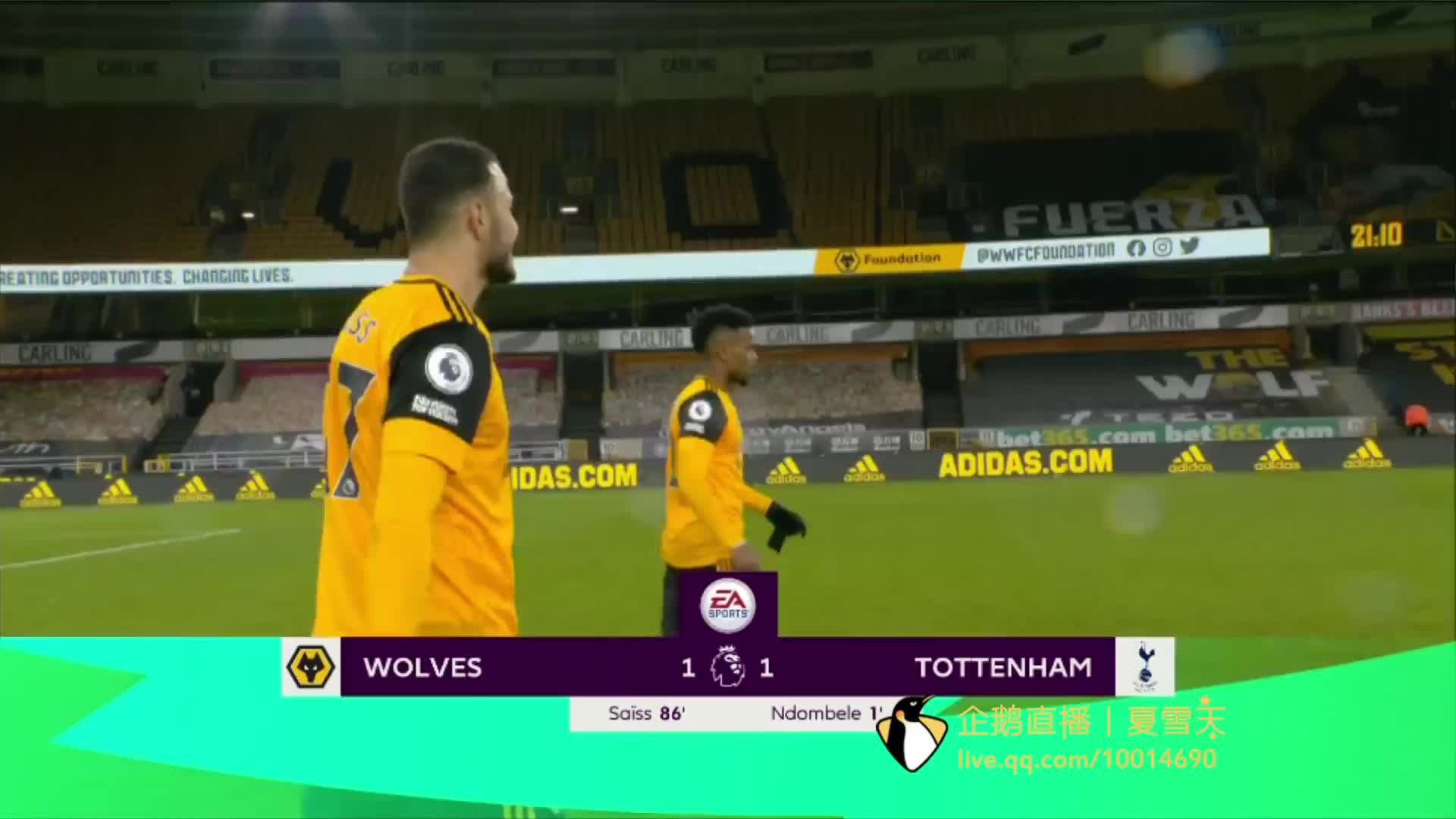 在纵观整个 在纵观整个